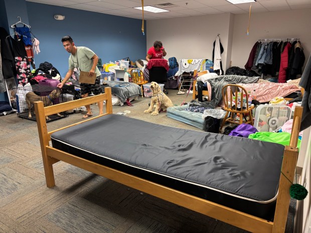 Luke Stivala, left, looks after the Breaking Bread shelter pets while residents are working. (KATHLEEN E. CAREY - DAILY TIMES)
