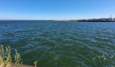 Coast Guard rescues 3 people from Lake Erie near Kelleys Island