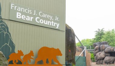Philadelphia Zoo’s renovated Bear Country opens to public in June – NBC10 Philadelphia