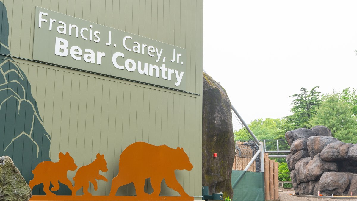 Philadelphia Zoo’s renovated Bear Country opens to public in June – NBC10 Philadelphia