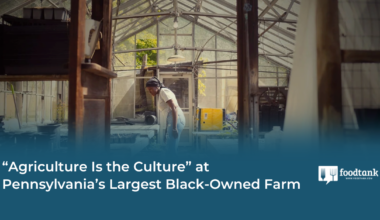 'Agriculture Is the Culture' at Pennsylvania’s Largest Black-Owned Farm – Food Tank