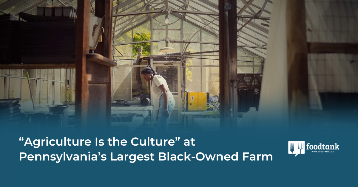 'Agriculture Is the Culture' at Pennsylvania’s Largest Black-Owned Farm – Food Tank