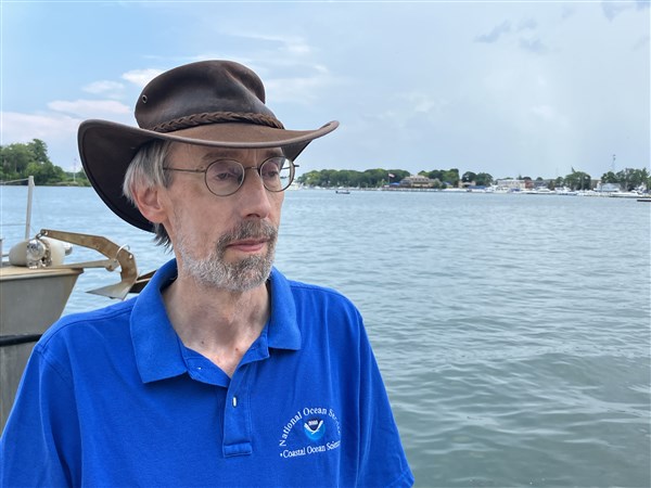 Moderate algal bloom for Lake Erie likely, but not a record-breaker