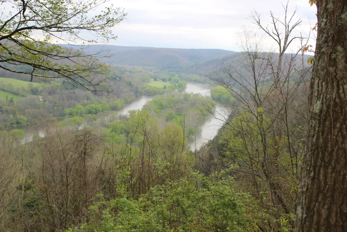 long view from a high hillside with greenery along the sides of a river and island in the midst of the water