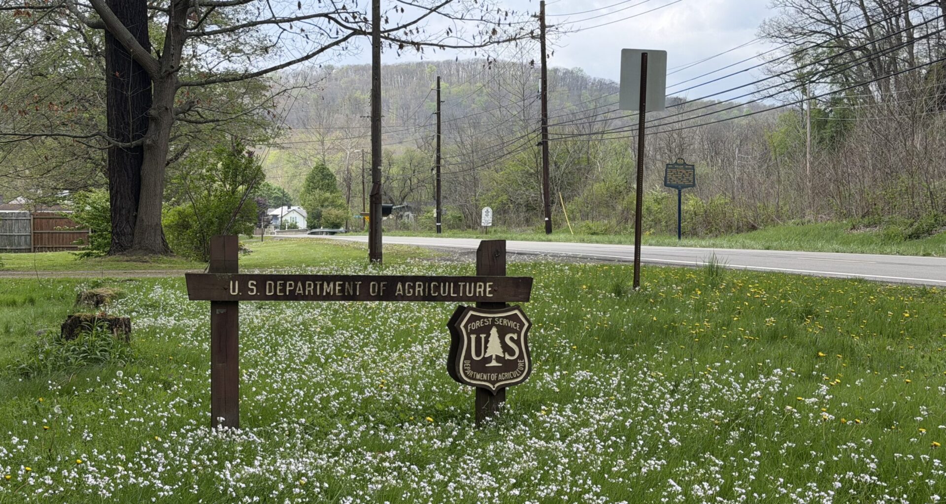 Trump to eliminate U.S. Forest Service research, and close four facilities in Pennsylvania