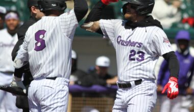 Lake Erie Crushers fend off Windy City Thunderbolts to avoid sweep – Morning Journal