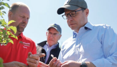 Following ‘devastating’ crop freeze, state leaders call for federal aid | News, Sports, Jobs