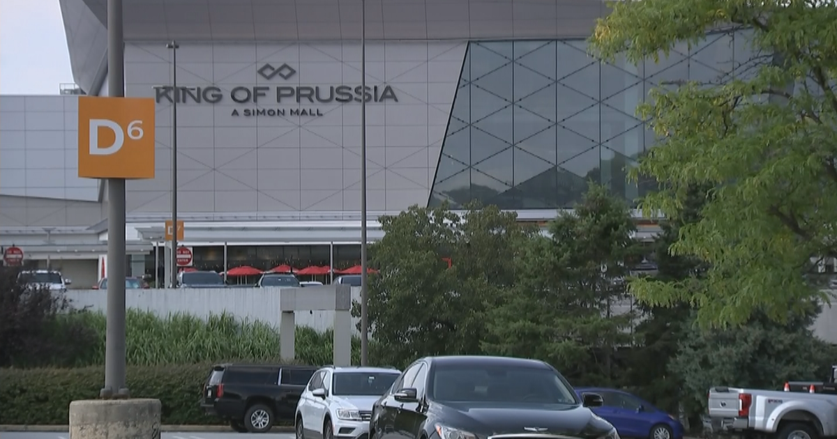 Swatch watch release draws about 100 officers to King of Prussia Mall for crowd control