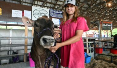 Farm equipment, funnel cakes and fun mark fair and festival season