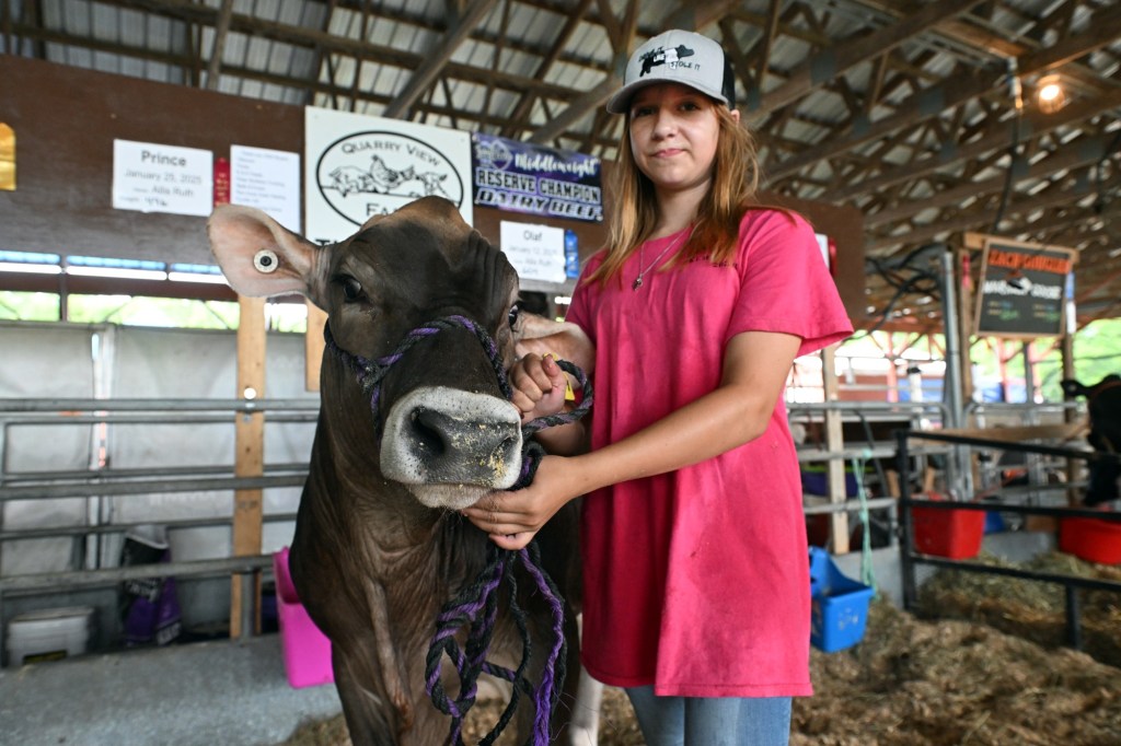 Farm equipment, funnel cakes and fun mark fair and festival season