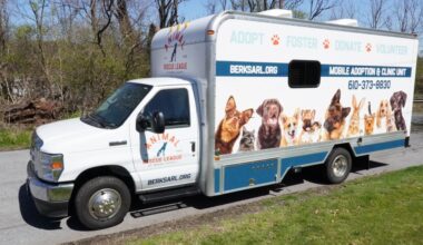 Pet vaccine clinic set in Reading