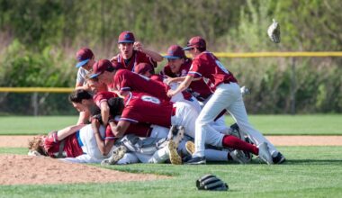 DISTRICT 2 BASEBALL: McMynne helps Dunmore repeat as Class 3A champion – Scranton Times-Tribune