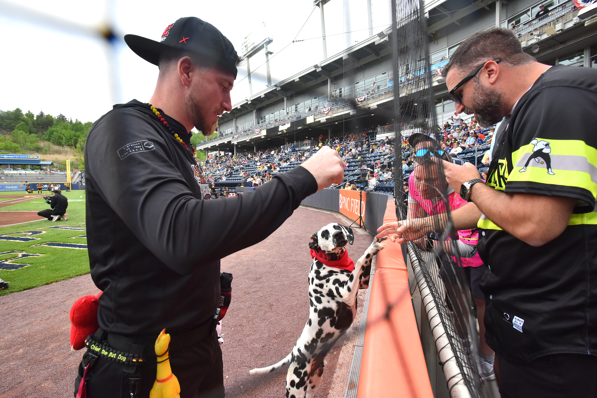 The Firefighters’ bat dog named ‘Chief’ interacts with fans before...