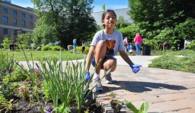 Scranton City Pride program starts with flower planting in downtown park