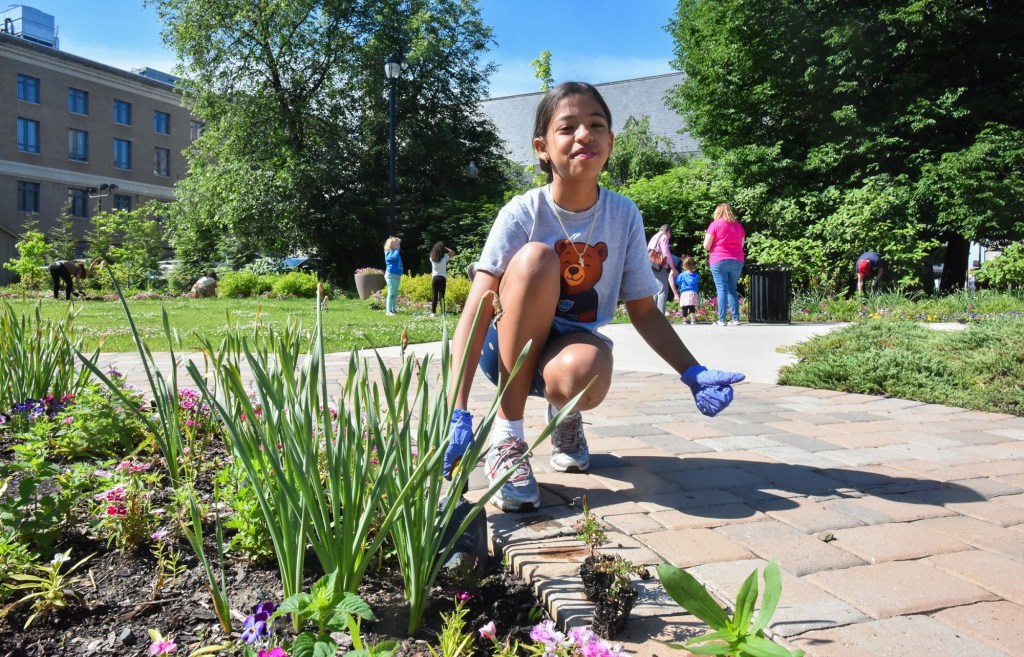 Scranton City Pride program starts with flower planting in downtown park