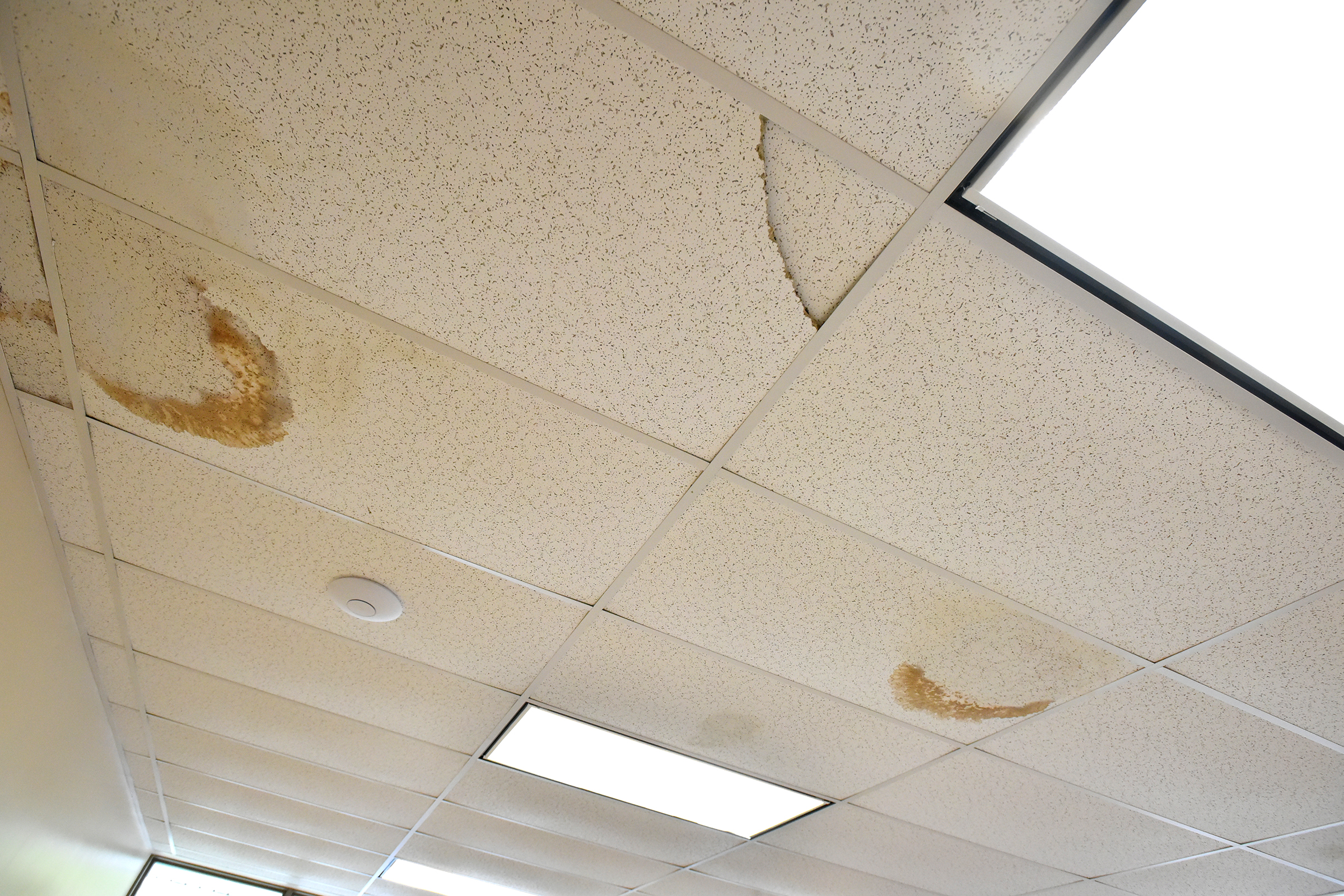 Ceiling panels are damaged at the Hillside Senior Center in...