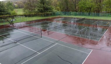 Pickleball complex coming to McDade Park