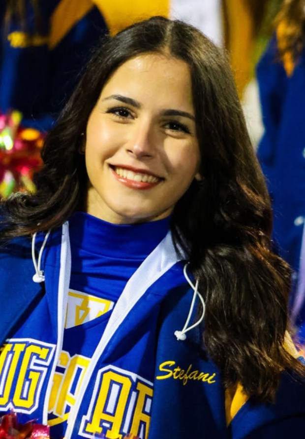 Stefani Neshkova, Valley View (SUBMITTED)