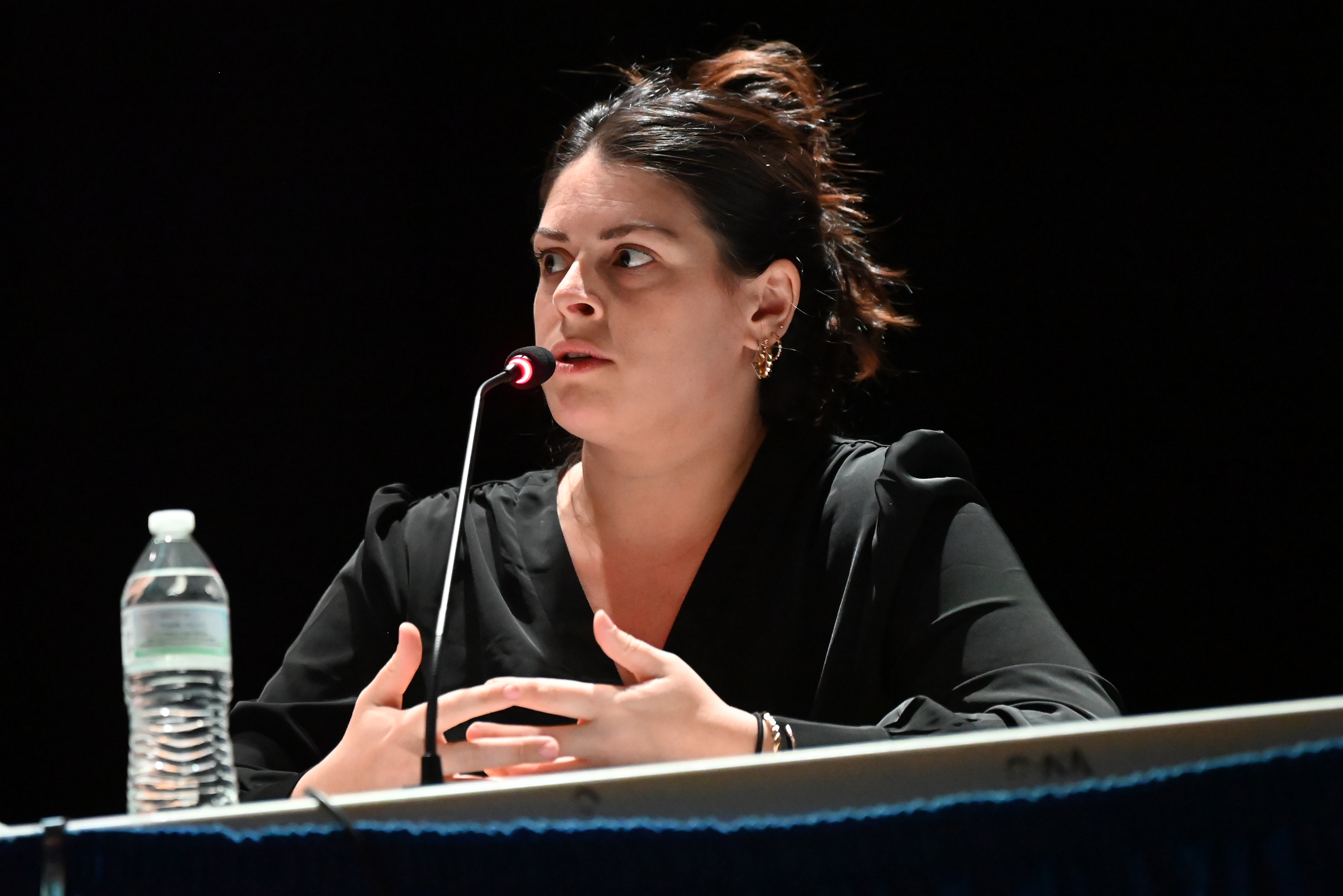Acoustical Consultant Caitlin Ormsbee answers questions during the hearing regarding...