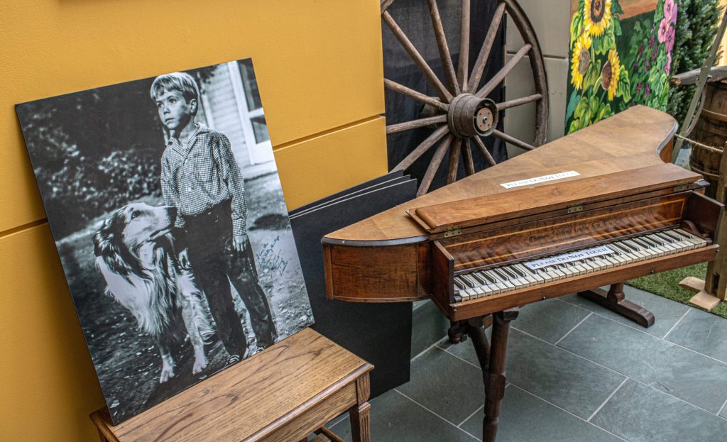 'Lassie' child star Jon Provost to headline Lehigh Valley history expo