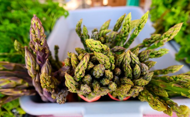 Freshly picked asparagus is a weekly offering Tuesday, May 26, 2026, at Bethlehem Health Bureau's Christmas City Farm Stand partnered with Bleiler's Produce Patch at Payrow Plaza in Bethlehem. The farm stand and weekly community supported agriculture produce pickups continue till October. (April Gamiz/The Morning Call)