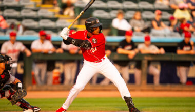 Pirates to Promote Slugging Prospect Esmerlyn Valdez
