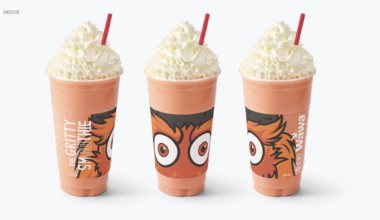 Wawa Launches Gritty Smoothie for Flyers Playoff Season