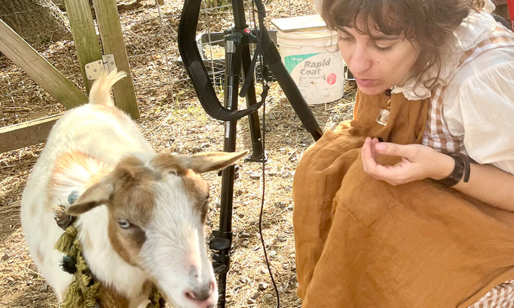 A Gathering of Goats Will Transform Crane Arts Into an Immersive Cocktail Party Featuring Art, Installations, and Live Goats