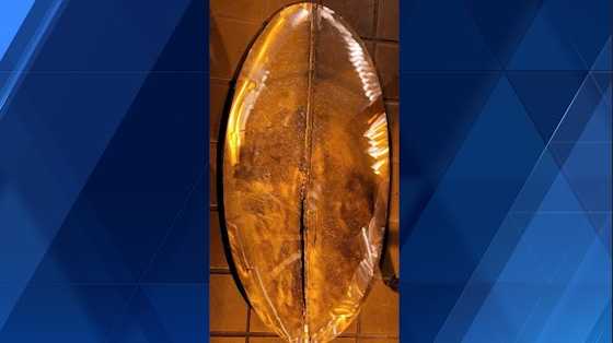 Historic Penn Brewery keepsake found after theft in Pittsburgh
