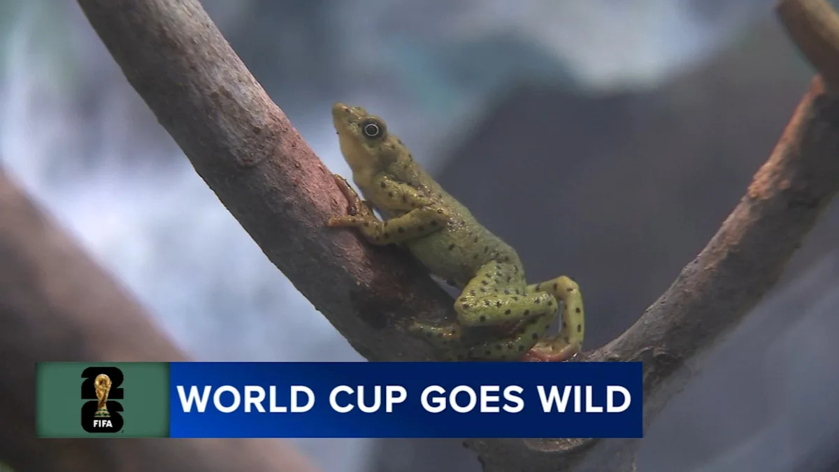 Philadelphia Zoo highlights global species as World Cup excitement builds