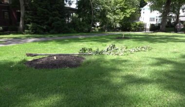 Vandalism damages community park in Lackawanna County