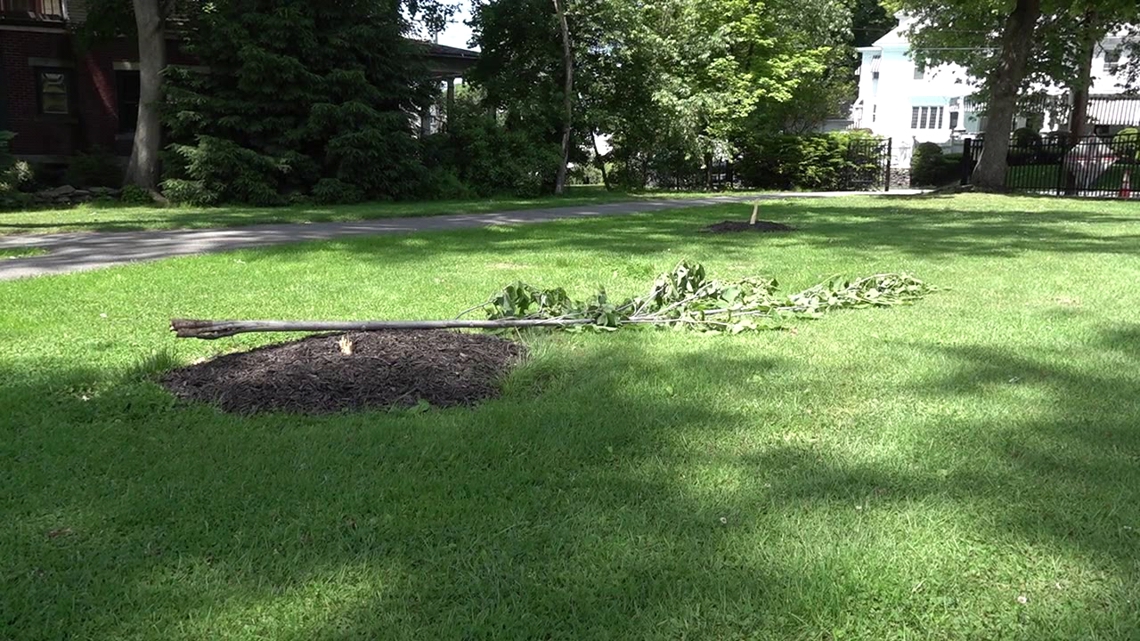 Vandalism damages community park in Lackawanna County