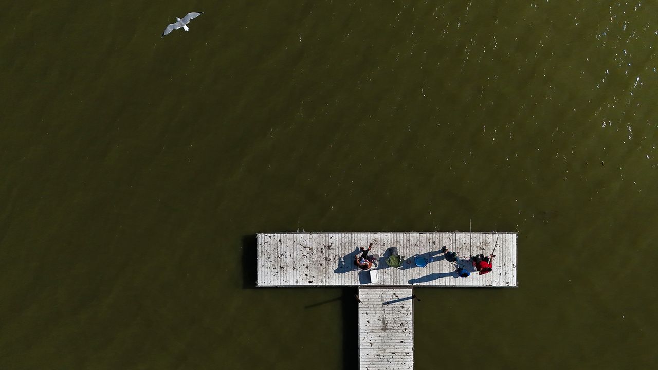 A family fishes in Lake Erie during an algal bloom, Wednesday, Sept. 4, 2024, in Toledo, Ohio. (AP Photo/Joshua A. Bickel)