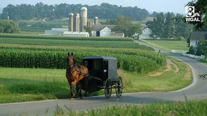Amish horse and buggy Amish horse and buggy