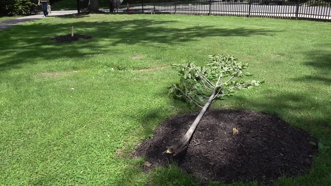 Vandalism damages community park in Scranton once again