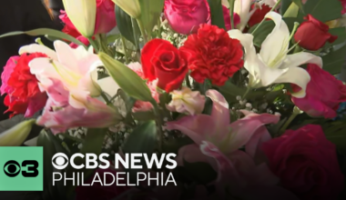 Stein Your Florist Co. welcomes the Mother's Day rush
