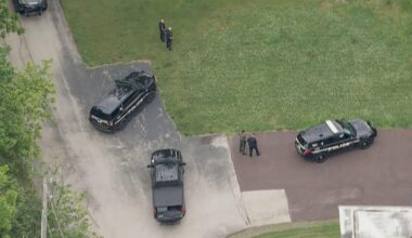 Crews capture bear spotted in Whitpain Township, Montgomery County
