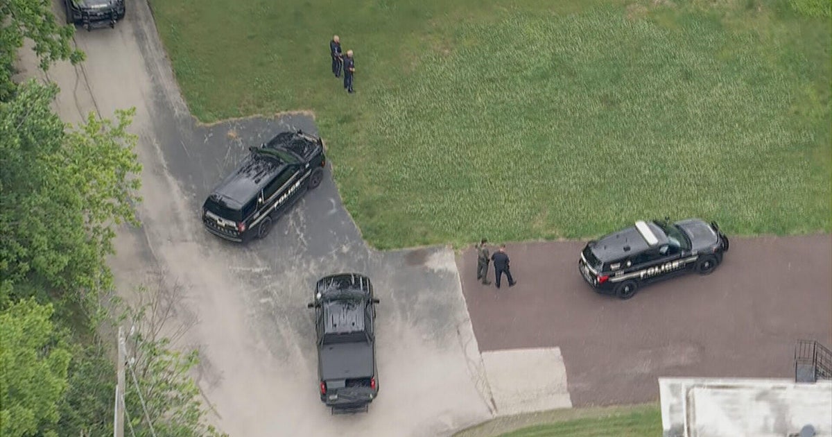 Crews capture bear spotted in Whitpain Township, Montgomery County