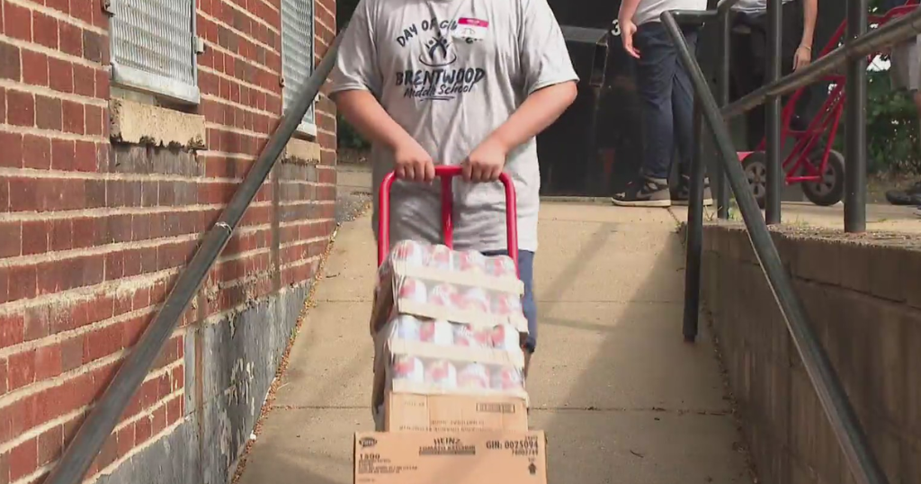 Hundreds of Brentwood Borough students celebrate 2nd annual Day of Giving