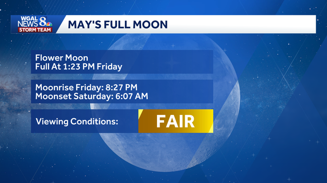 Flower Moon flower moon