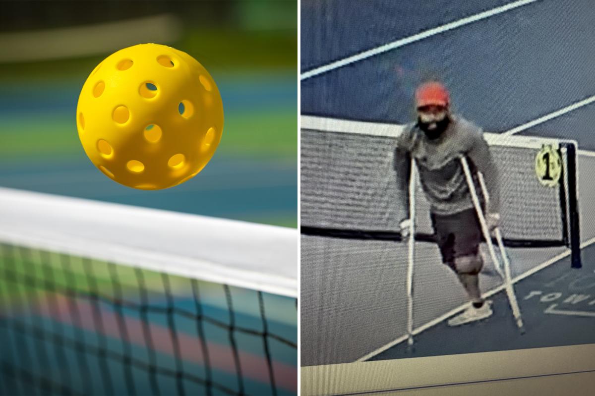 Petulant pickler cut pickleball nets at Pennsylvania parks because injury 'ruined' his summer: cops