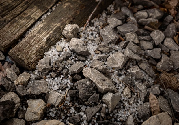 Plastic pellets, or nurdles, litter ground after they are transferred from rail cars to trucks and delivered to local manufacturers in Erie, Pennsylvania. (Brian Cassella/Chicago Tribune)