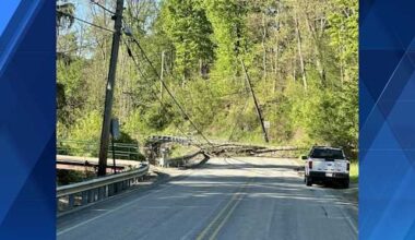 Downed tree, wires block Saxonburg Boulevard in Allegheny County