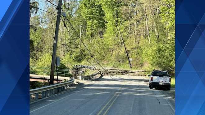 Downed tree, wires block Saxonburg Boulevard in Allegheny County