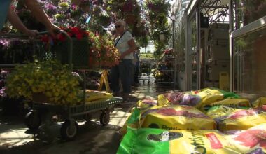 Dunmore garden center sees surge in customers as warm weather arrives