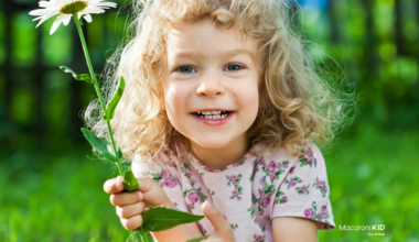 Your Ultimate 2026 Summer Fun Hub for Families