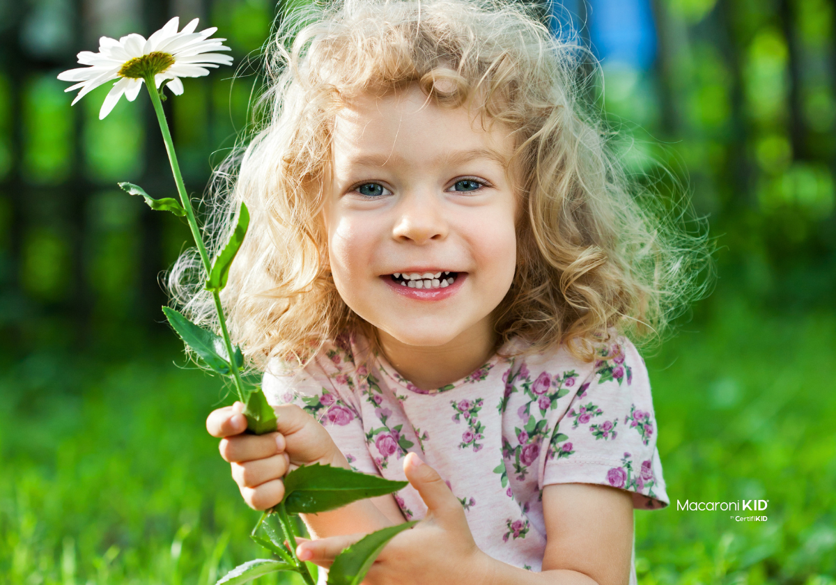 Your Ultimate 2026 Summer Fun Hub for Families