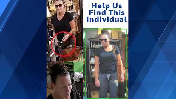 Shop searching for person in alleged theft.
