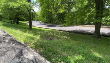 Hearing requested to reopen ﻿Serpentine Drive in Schenley Park