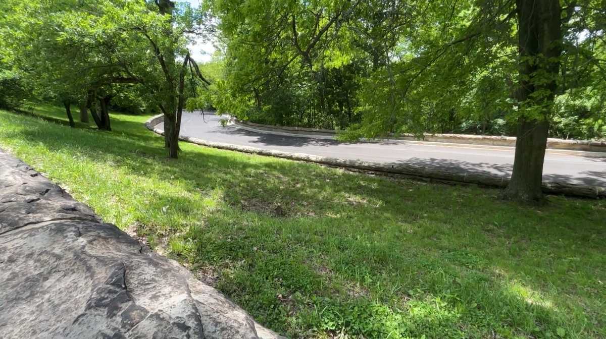Hearing requested to reopen ﻿Serpentine Drive in Schenley Park